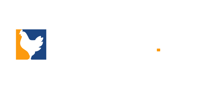Chicken.gg's logo'
